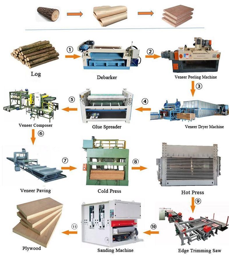 Diagram of the plywood production line from log, debarker and peeling machine through drying, gluing, pressing, trimming and sanding